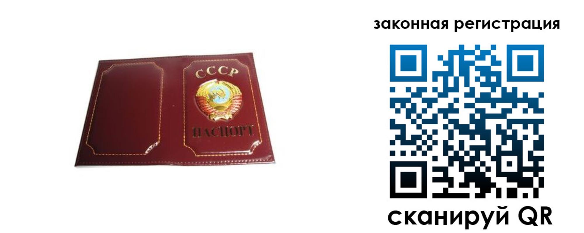 прописка поиск в Вязьме